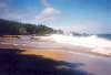 Strand auf Tobago